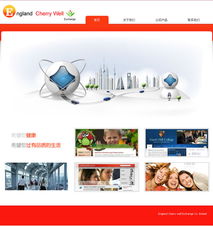 重慶元午商務(wù)信息咨詢(xún)網(wǎng)站建設(shè)案例解析